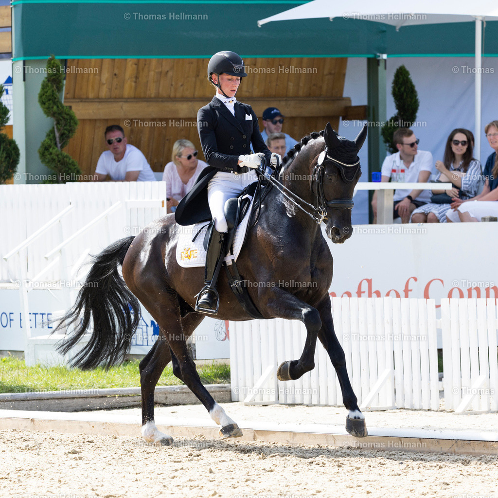 TH_006 Anthrazit 5 (GER) HEEMSOTH_ Greta_9853 | Bettenröder Dressurtage 2023 am 08.07.23 in Bettenrode, Thomas Hellmann, 006 Anthrazit 5 (GER) HEEMSOTH, Greta