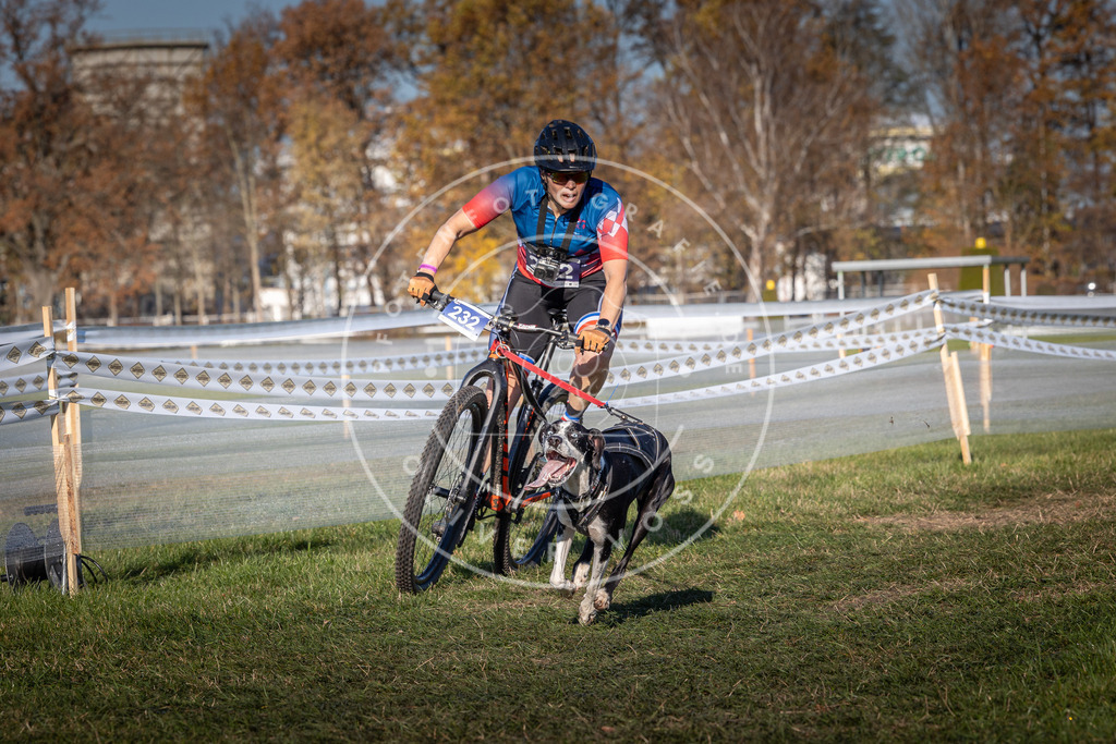 CaniXpix_0L8A4751 | Hundefotografie, Tierfotograf, Pfotenfotografie, Fotoshooting Hund, Hunde Portrait, Hundesport, Hundeportraits, Heideshooting, Hunde, Sportfotograf, Hundefotograf, Turnierhundsport, THS,  - Realisiert mit Pictrs.com