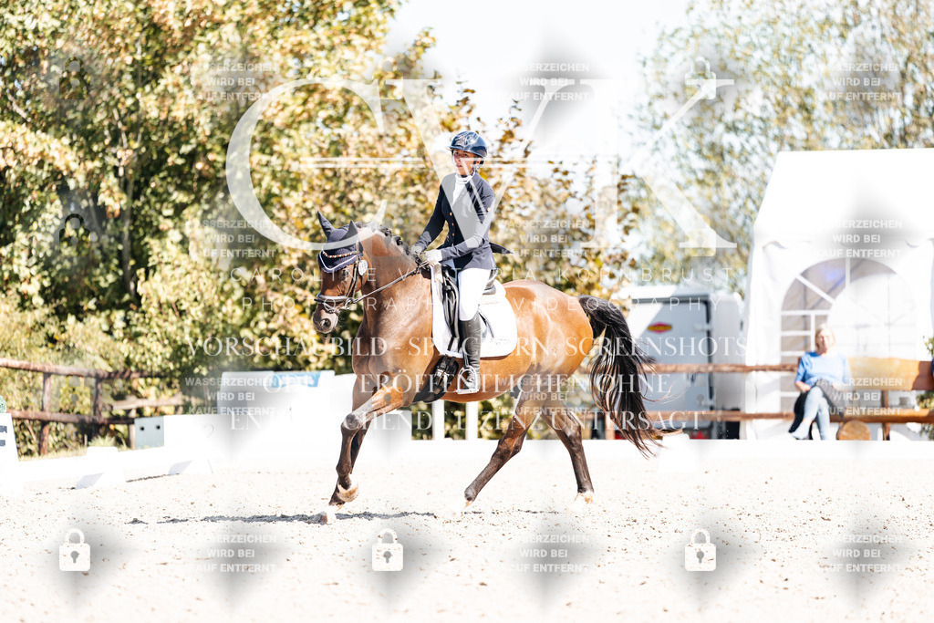 CK903942 | Turnierfotografie Pferdefotografie Trier Rheinland-Pfalz Pferdesport Reitsport Tierfotografie Sportfotografie Pferdevideo Pferdevideografie Equestrianvideography equestrianphotography  - Realisiert mit Pictrs.com