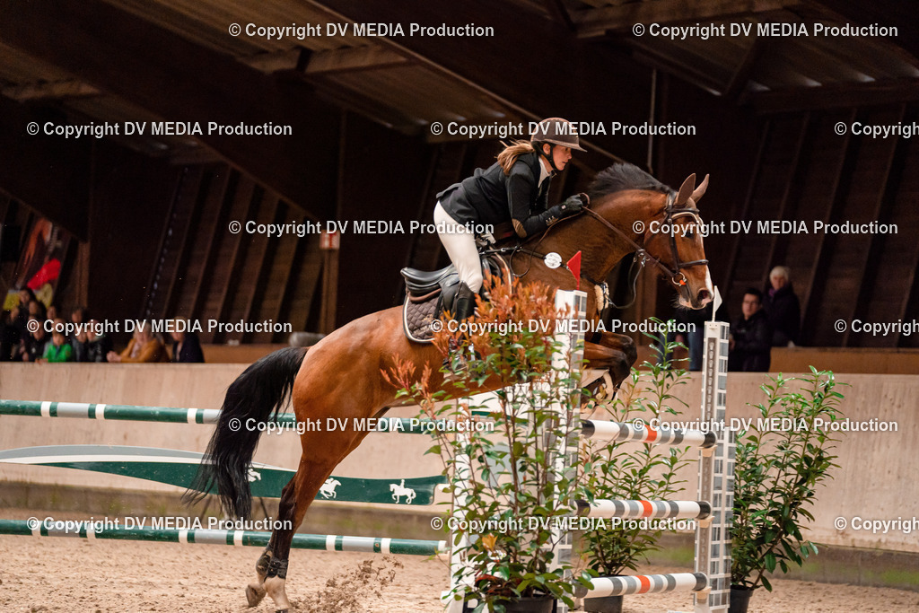 Springen Tag 1-464 | dv-media-shop - Realisiert mit Pictrs.com