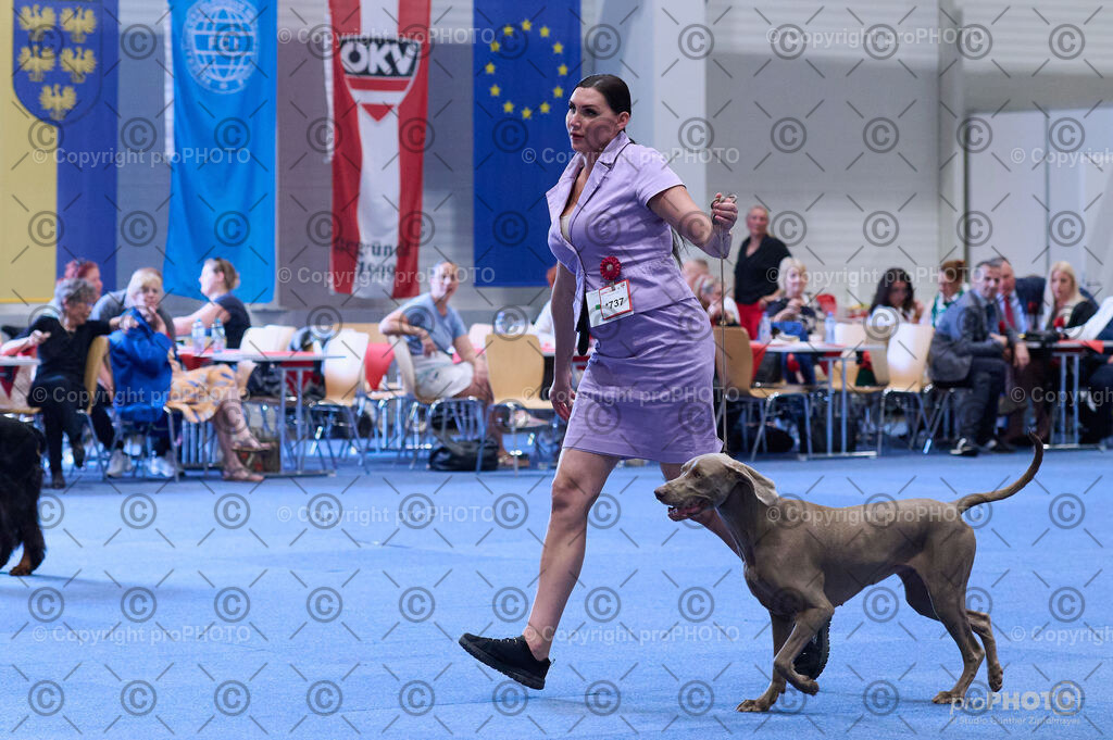 202406_ÖKV-IHA-Tulln24_DSC_4112 | proPHOTO - Realisiert mit Pictrs.com