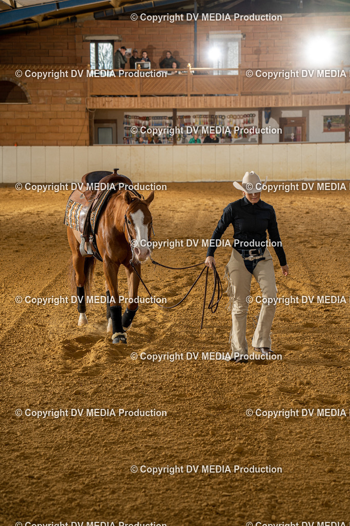 MIT01056 | dv-media-shop - Realisiert mit Pictrs.com