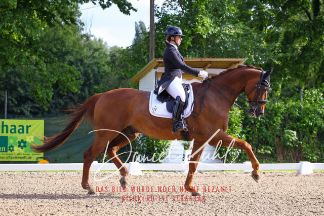 DKP41590 | Deine Turnierfotos vom Reitturnier online kaufen: Dressur, Springen & Siegerehrung. Professionelle Pferdefotografie aus dem Rheinland – als Download & Print.Alternative: Turnierfotograf für den Pferdesport: Finde deine Fotos von Dressur- und Springturnier