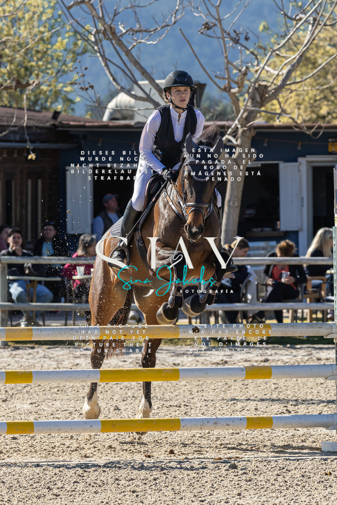 IMG_1357 | s-jay-photography - Realisiert mit Pictrs.com