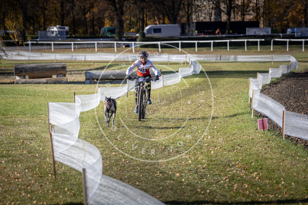 CaniXpix_DV3A6582 | Hundefotografie, Tierfotograf, Pfotenfotografie, Fotoshooting Hund, Hunde Portrait, Hundesport, Hundeportraits, Heideshooting, Hunde, Sportfotograf, Hundefotograf, Turnierhundsport, THS,  - Realisiert mit Pictrs.com
