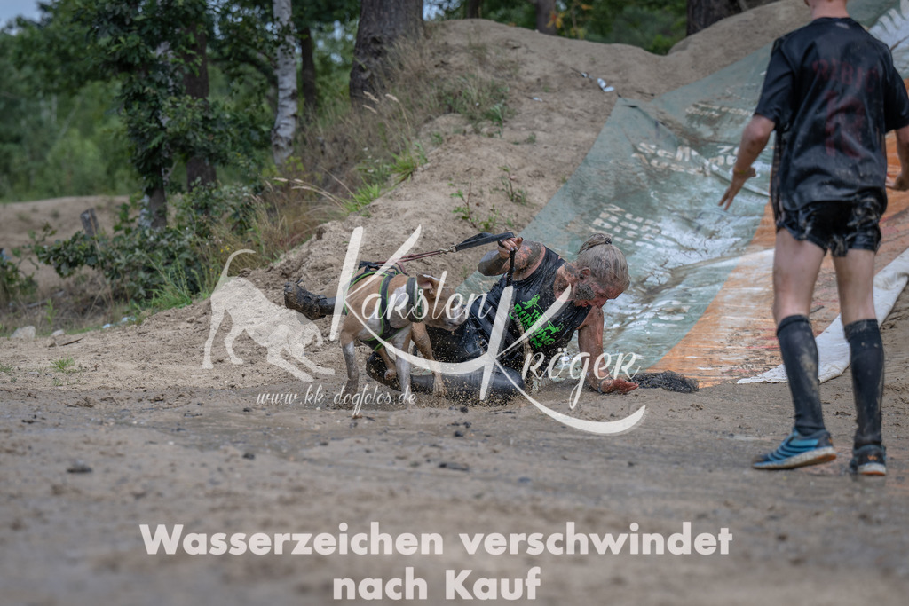 1238_ZZ92842 | kk-dogfotos