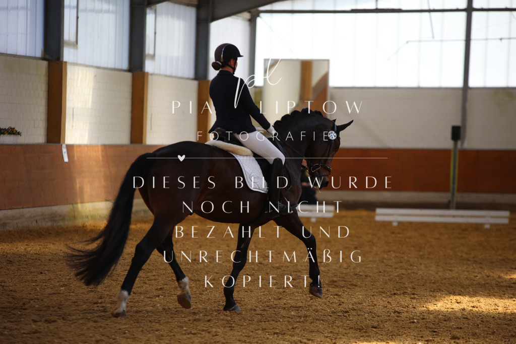 IMGT4791 | pl-fotografie