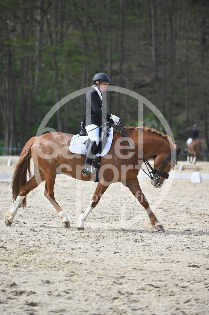 DSC_4634 | sattelsport - Realisiert mit Pictrs.com