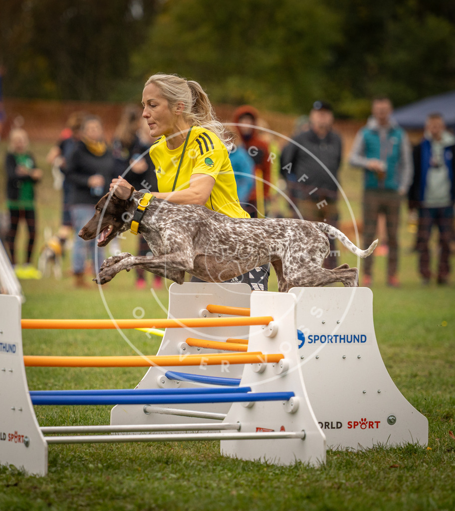 Pfotenfotografie_DV3A6843 | Hundefotografie, Tierfotograf, Pfotenfotografie, Fotoshooting Hund, Hunde Portrait, Hundesport, Hundeportraits, Heideshooting, Hunde, Sportfotograf, Hundefotograf, Turnierhundsport, THS,  - Realisiert mit Pictrs.com