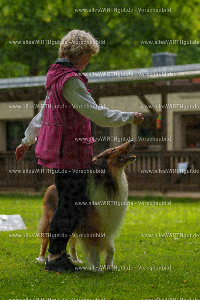 @allesWIRTHgut_Tierfotografie - www.allesWIRTHgut.de - 095223-7R507783 | Professionelle Tierfotografie in Mönchengladbach von Daniel Wirth (allesWIRTHgut). Liebevolle & natürliche Bilder von Hunden & Katzen für unvergessliche Erinnerungen.