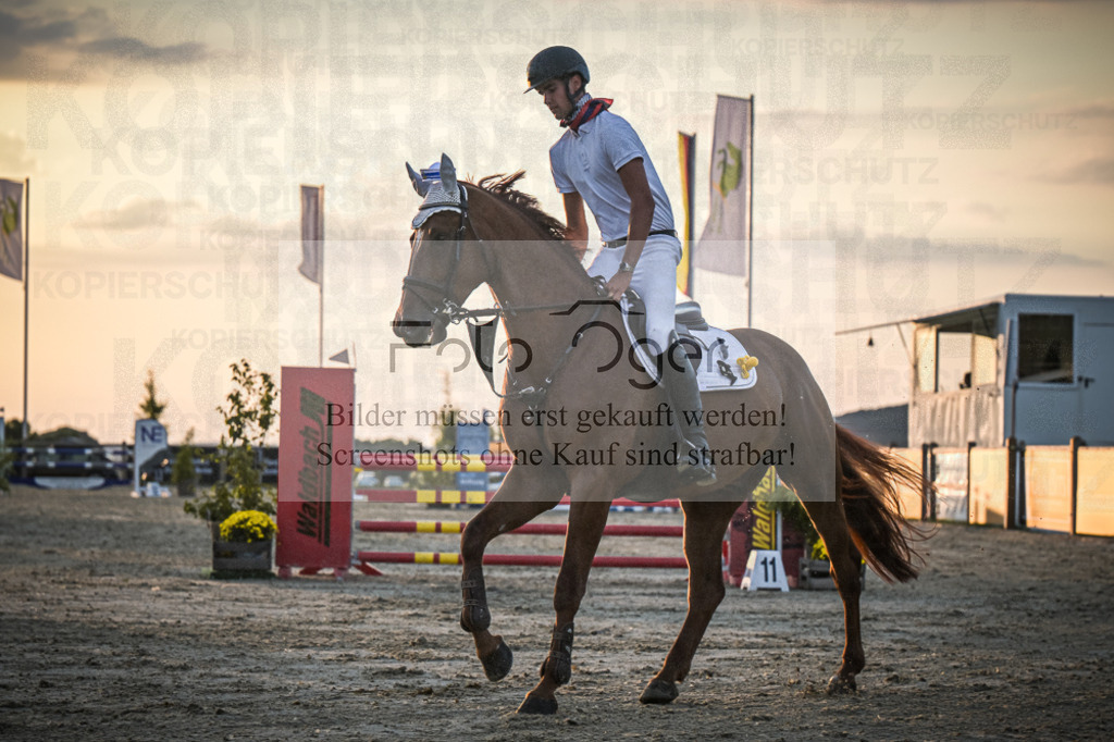 DOS_1786 | Entdecke hochwertige Reitturnierfotos von Foto Oger. Professionell, emotional und authentisch – jetzt Lieblingsmomente im Shop bestellen.Deutschlandweite Turnierfotografie. - Realisiert mit Pictrs.com