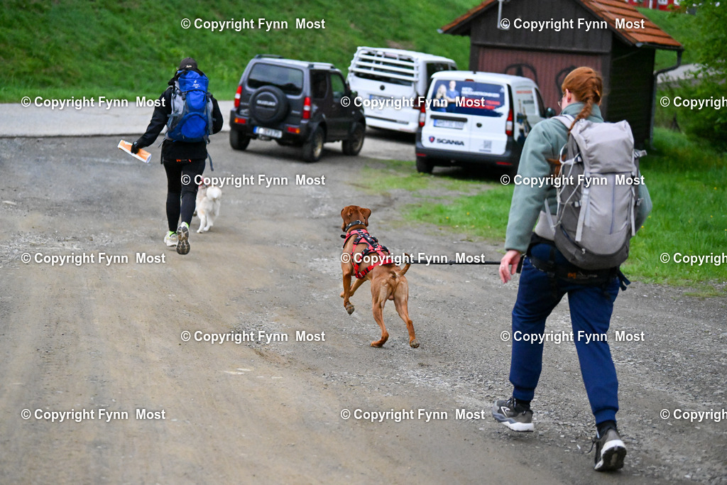 DSC_4647 | Hallo und herzlich Willkommen auf meiner Shop-Seite Fynn Most.

Ich wünsche Dir viel Spaß beim stöbern durch die Bilder, wenn Du Fragen hast oder Bilder vermisst, kannst du mir gerne eine Nachricht schreiben. - Realized with Pictrs.com