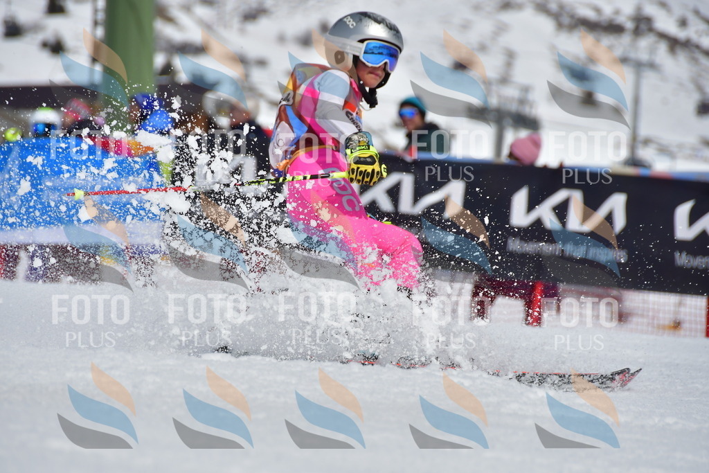 _DSC6804 | holidayphoto