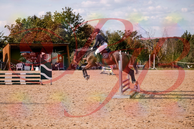 2026_10_03_Siefer-Hof_154126_Z81_57969862 | Professionelle Reitsport-, Turnier- und Eventfotografie von Robert Broda. Galerien mit ausgewählten und bearbeiteten Bildern direkt online ansehen und bestellen.