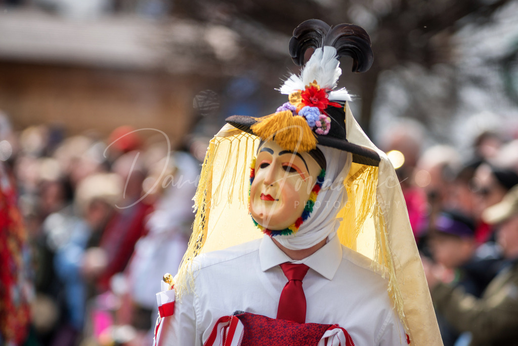 DSC08411 | Professioneller Fotograf - Bildbestellung online - Wandbilder vom Profi für ihr Zuhause, Büro, Praxis, Firma - große Auswahl an Materialien und Formaten, über 1400 regionale Motive