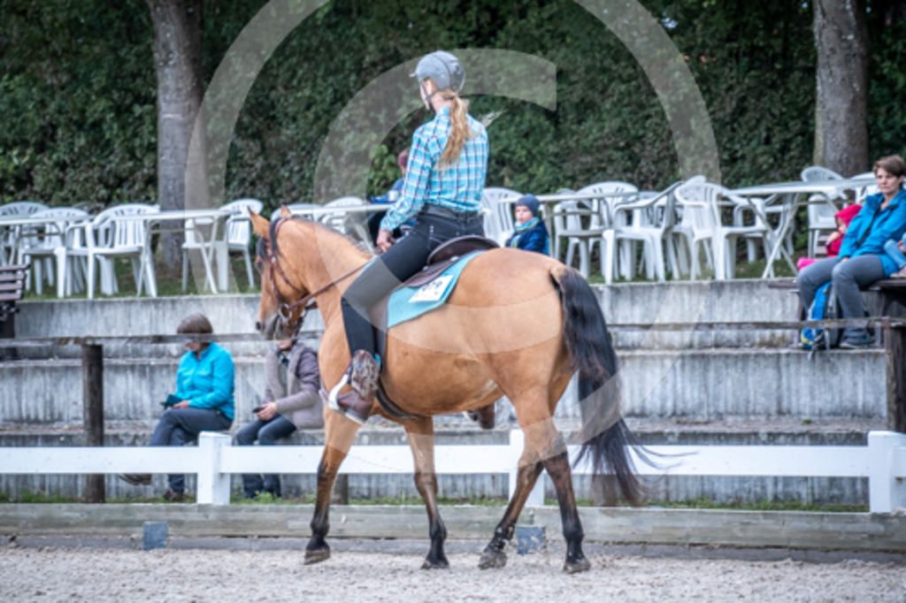 HEB06716 | BS-foto