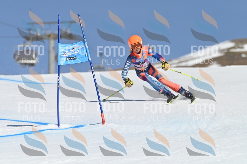 BGV_7729 | holidayphoto