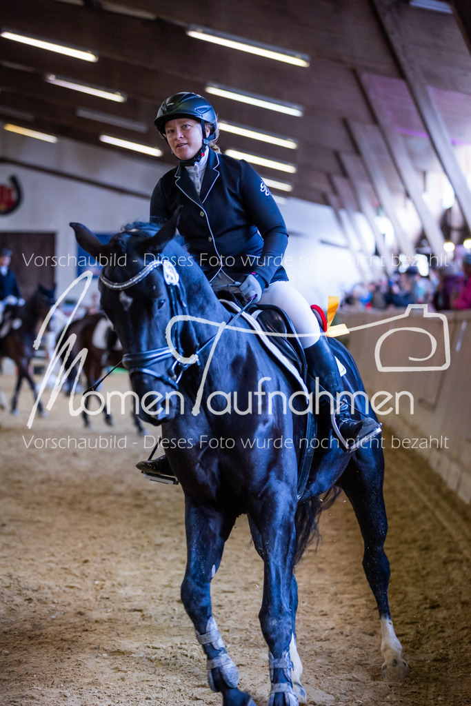 Sth-Gewöhnung-040 | MomenTaufnahmen Pferdesportfotos