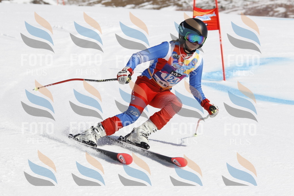 _U3G0778 | holidayphoto