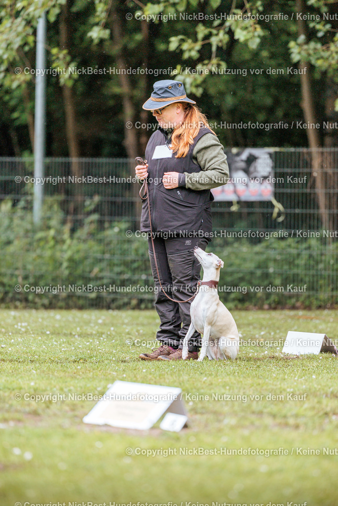 RO-Blumenthal-2026-Nickbest-Hundefotografie-0163 | Dein Hund! Dein Moment! Deine Erinnerungen! Hundefotografie in Bremen Blumenthal. Ich fange die besonderen Momente deines Vierbeiners ein – ob Indoor mit Blitzanlage oder in der freien Natur. Sicher dir dein Moment und dein Termin für eure Erinnerungen.