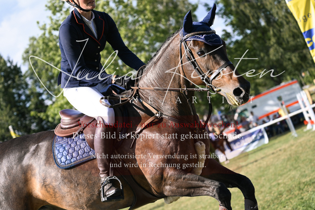 DSC_1441 | Pferde- und Turnierfotografie in Westsachsen. Pferdeportraits, Auftragszeichnungen und intuitive Kunst.