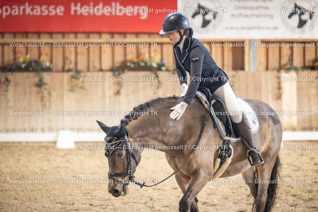 _D5A1223 | Emotionale Pferde- & People-Fotografie rund um Heidelberg, Leimen & Umgebung. Natürliche Fotos von Pferd, Mensch & Familie. Jetzt Termin sichern!