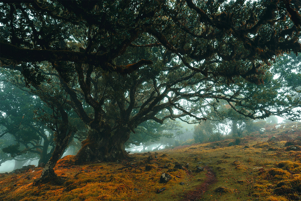 DSC05471 (1) | <meta name="keywords" content="Bergbilder, Hochzeitsfotografie, Actionshootings, Fotografiearbeiten, Berglandschaften, Naturfotografie">

 - Realisiert mit Pictrs.com