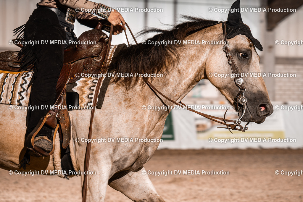 ZH300007 | dv-media-shop - Realisiert mit Pictrs.com