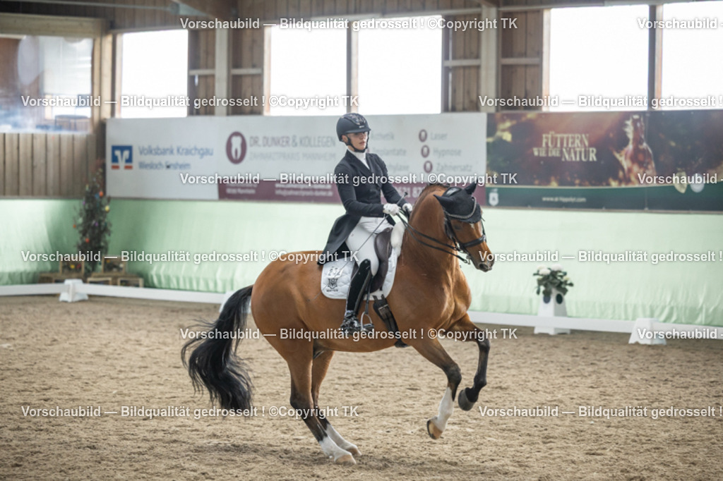 _D5A5965 | Emotionale Pferde- & People-Fotografie rund um Heidelberg, Leimen & Umgebung. Natürliche Fotos von Pferd, Mensch & Familie. Jetzt Termin sichern!