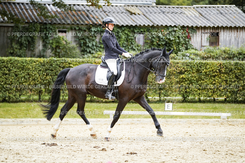 DSC09661 | Pferdegrafie