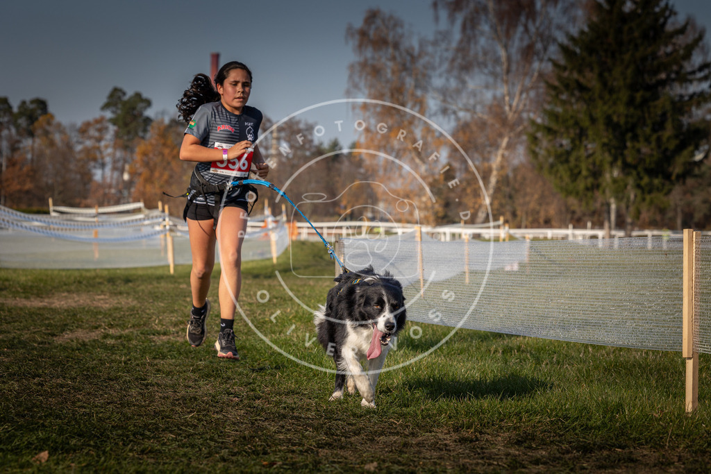 CaniXpix_0L8A9421 | Hundefotografie, Tierfotograf, Pfotenfotografie, Fotoshooting Hund, Hunde Portrait, Hundesport, Hundeportraits, Heideshooting, Hunde, Sportfotograf, Hundefotograf, Turnierhundsport, THS,  - Realisiert mit Pictrs.com