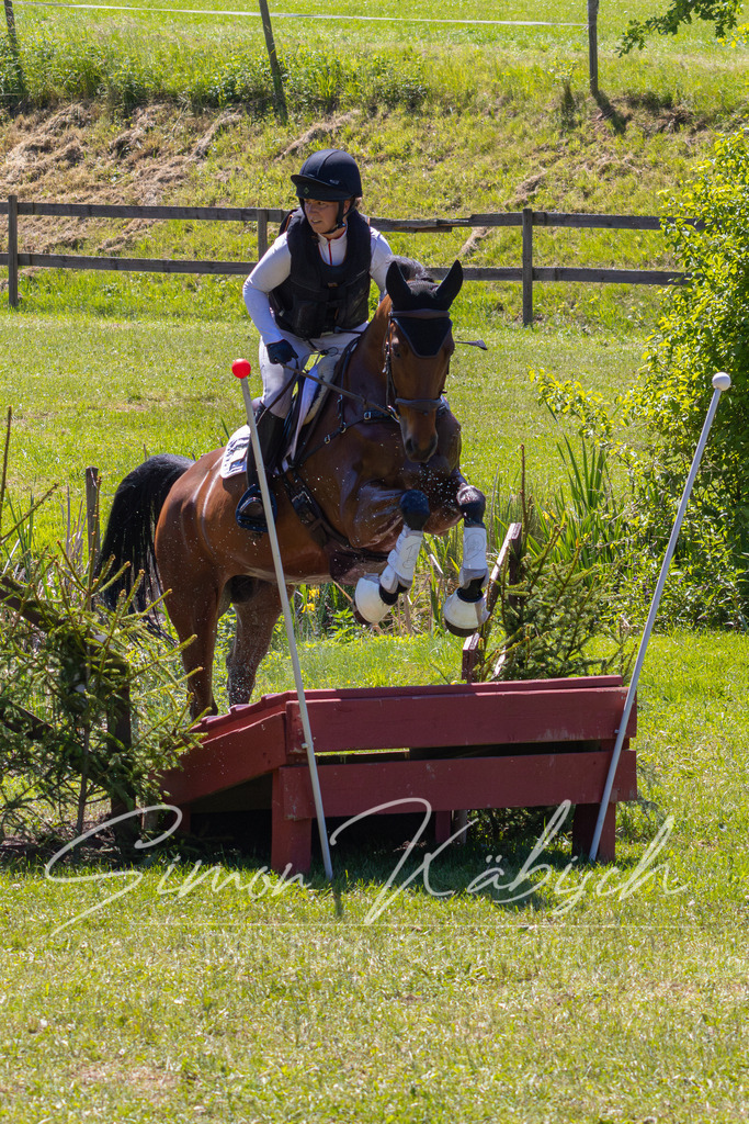 MBFotografie (44) | Tierfotografie Pferde, Hunde, Katzen, Haustiere.
Turnierfotografie Reitturniere, Reiten, Springreiten, Dressur in Hanau, dem Main-Kinzig-Kreis und dem Rhein-Main- Gebiet um Frankfurt