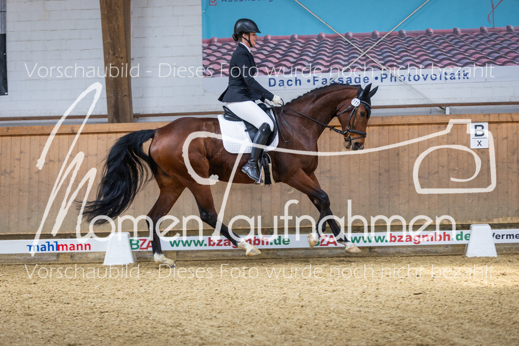 Sth-LPO25-A-Dr-029 | MomenTaufnahmen Pferdesportfotos