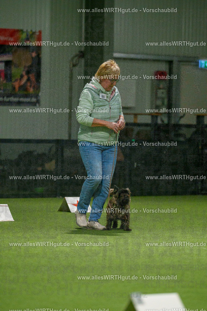 7R508548 | Professionelle Tierfotografie in Mönchengladbach von Daniel Wirth (allesWIRTHgut). Liebevolle & natürliche Bilder von Hunden & Katzen für unvergessliche Erinnerungen.