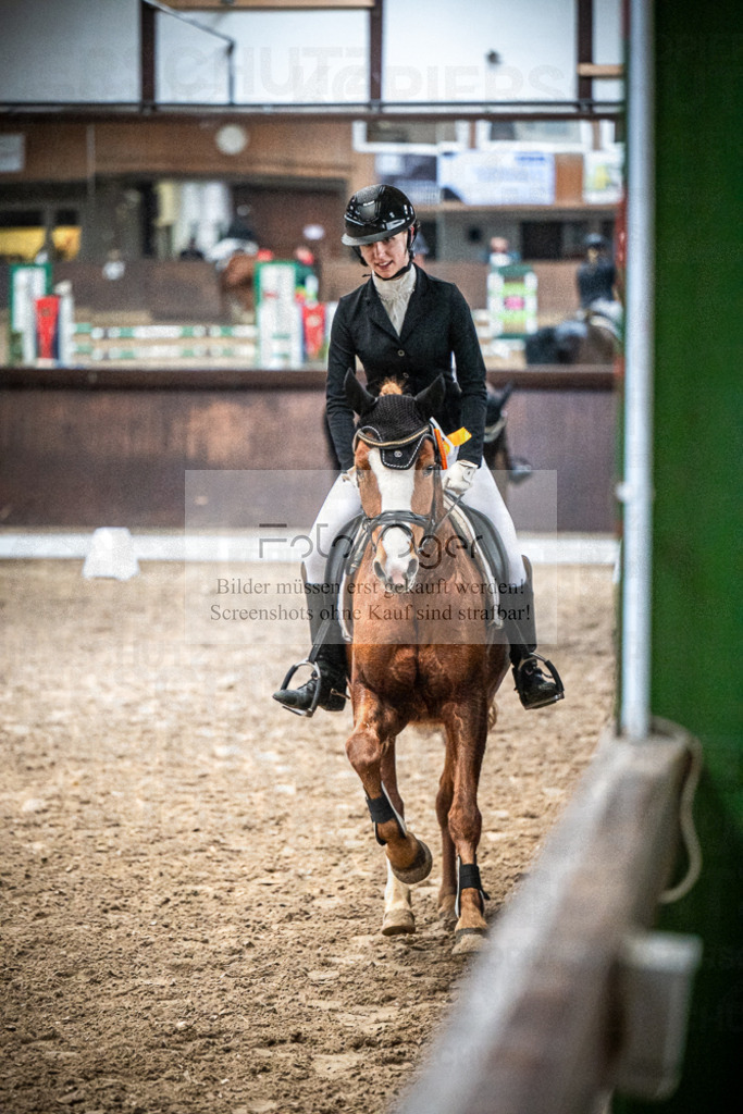 DOS_0039 | Entdecke hochwertige Reitturnierfotos von Foto Oger. Professionell, emotional und authentisch – jetzt Lieblingsmomente im Shop bestellen.Deutschlandweite Turnierfotografie. - Realisiert mit Pictrs.com