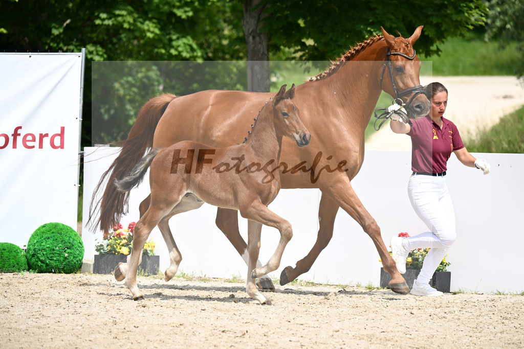 Venturo x Fuerst Jazz_HF_Hallerbach_13250805 | hf-fotografie - Realizzato con Pictrs.com