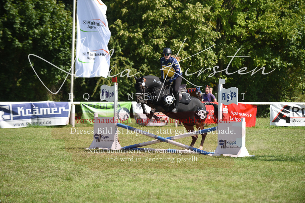 DSC_0400 | Pferde- und Turnierfotografie in Westsachsen. Pferdeportraits, Auftragszeichnungen und intuitive Kunst.