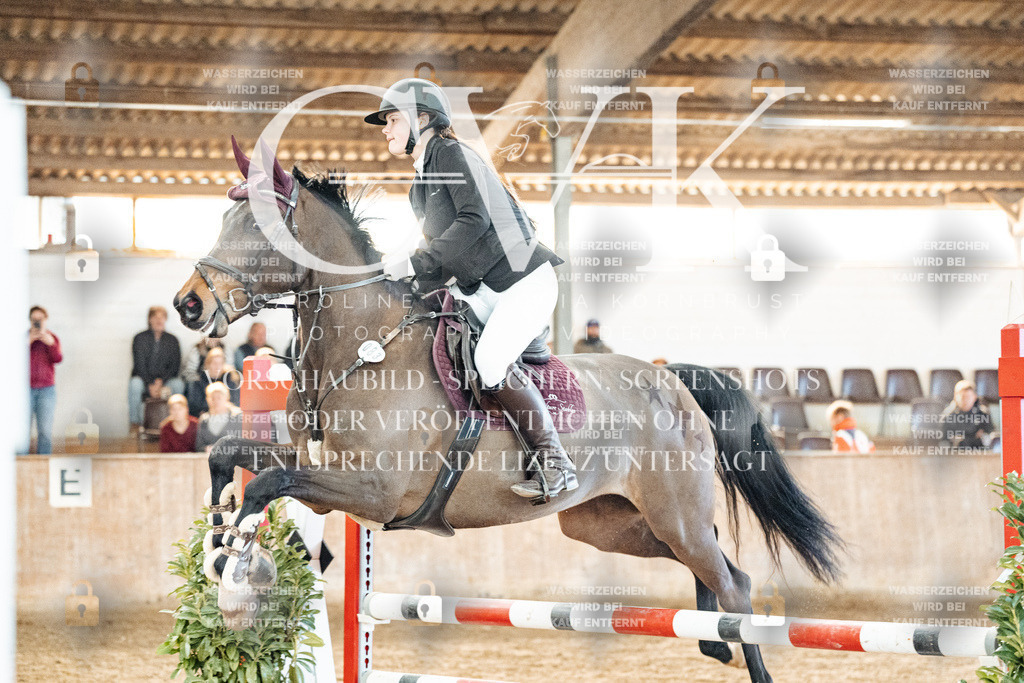 CK904226 | Turnierfotografie Pferdefotografie Trier Rheinland-Pfalz Pferdesport Reitsport Tierfotografie Sportfotografie Pferdevideo Pferdevideografie Equestrianvideography equestrianphotography  - Realisiert mit Pictrs.com