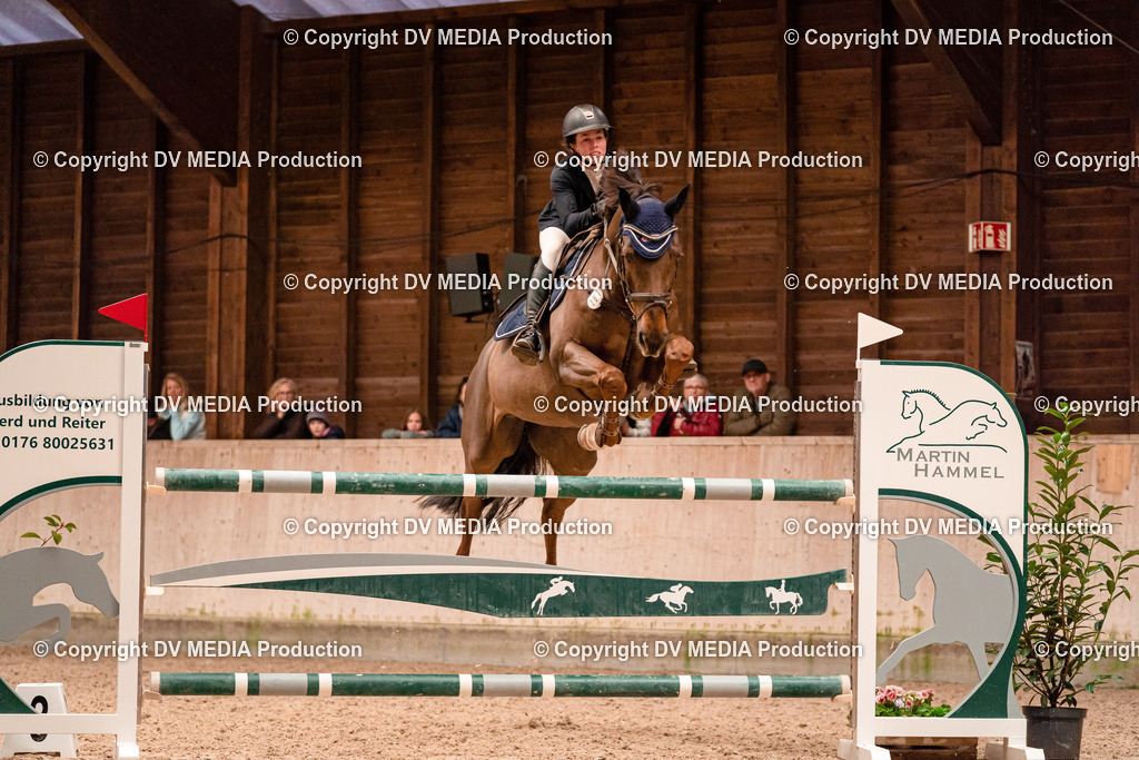 Springen Tag 3-355 | dv-media-shop - Realisiert mit Pictrs.com