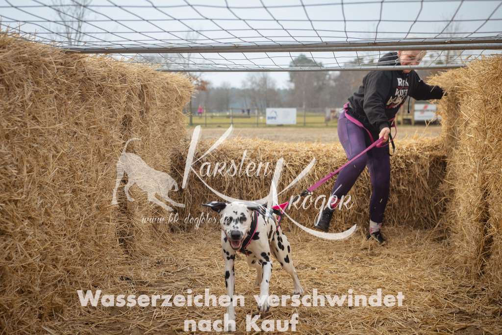 1007_ZZ92288 | kk-dogfotos