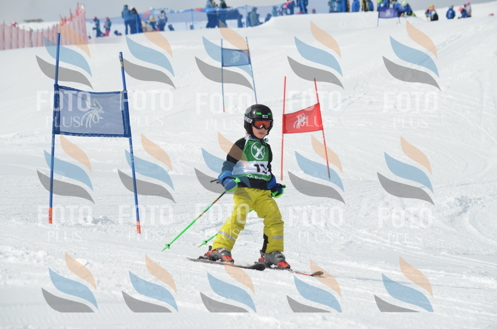 D8550 | holidayphoto