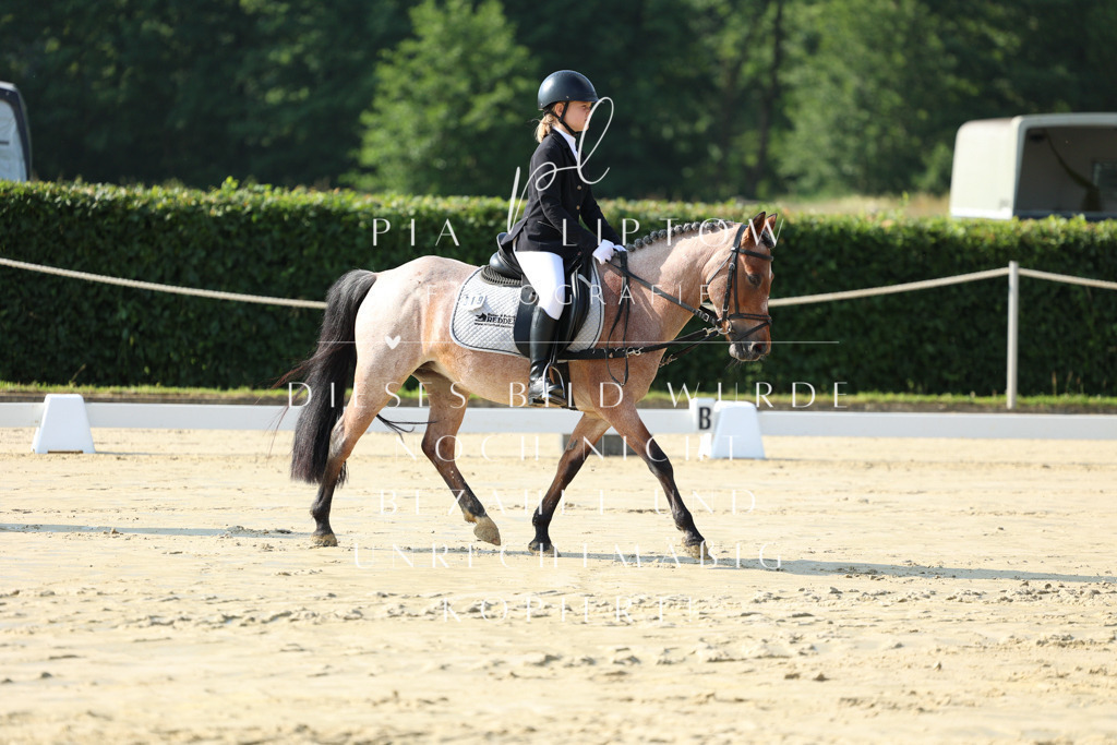 IMGM8426 | pl-fotografie