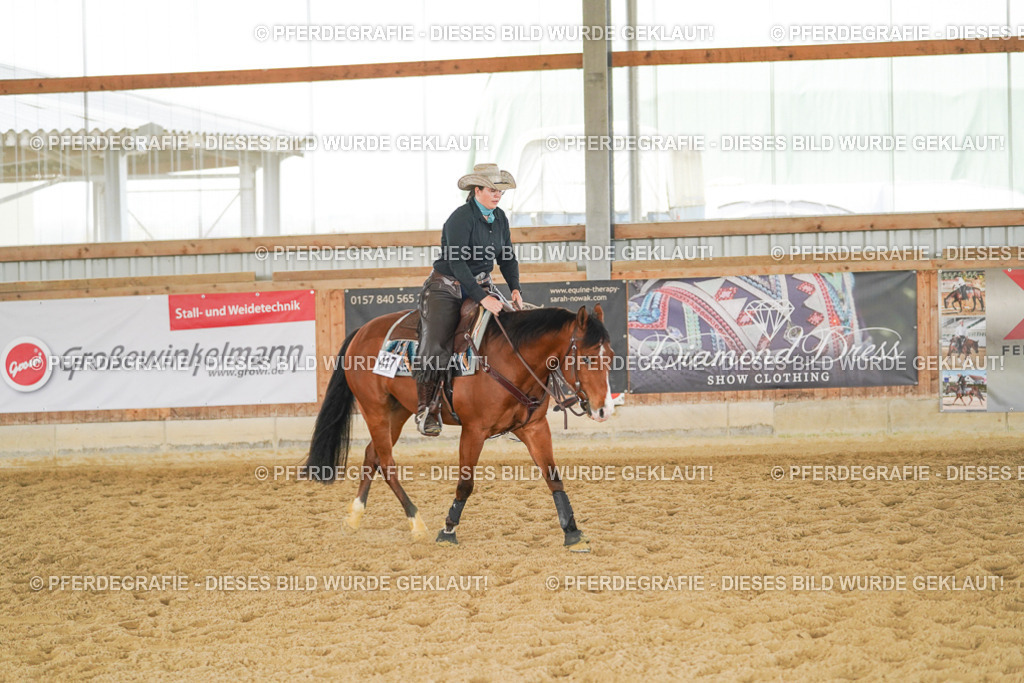 DSC06141 | Pferdegrafie