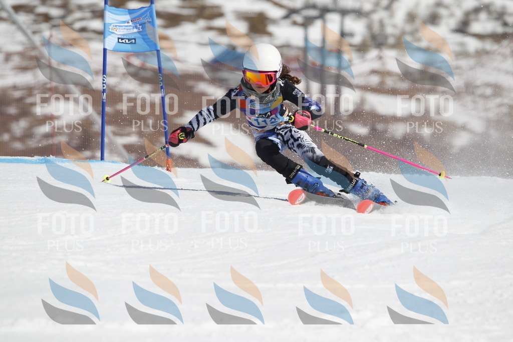 _U3G0537 | holidayphoto