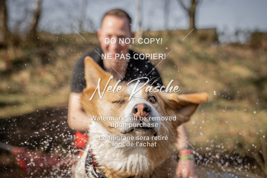 nelerasche_FS1330-1400_399 | nelerasche