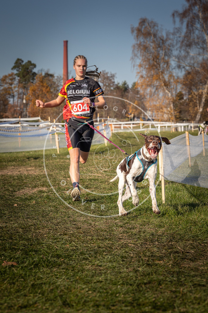 CaniXpix_0L8A8597 | Hundefotografie, Tierfotograf, Pfotenfotografie, Fotoshooting Hund, Hunde Portrait, Hundesport, Hundeportraits, Heideshooting, Hunde, Sportfotograf, Hundefotograf, Turnierhundsport, THS,  - Realisiert mit Pictrs.com
