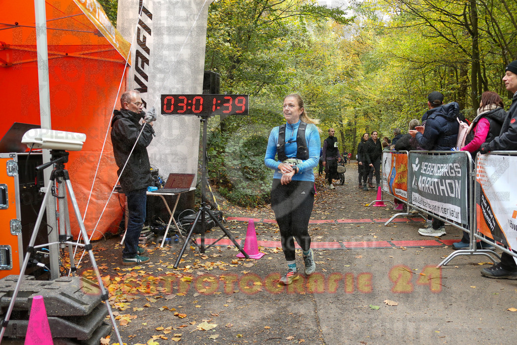 251026_1303_EX1_2352 | Sportfotografie im Rhein-Sieg Kreis, Köln, Bonn, NRW, Rheinland Pfalz, Hessen, etc. Unser Tätigkeitsfeld umfasst den Laufsport vom Volkslauf über den Marathon, Duathlon, Triathon bis zum Ultralauf wie Kölnpfad Ultra oder Schindertrail.
