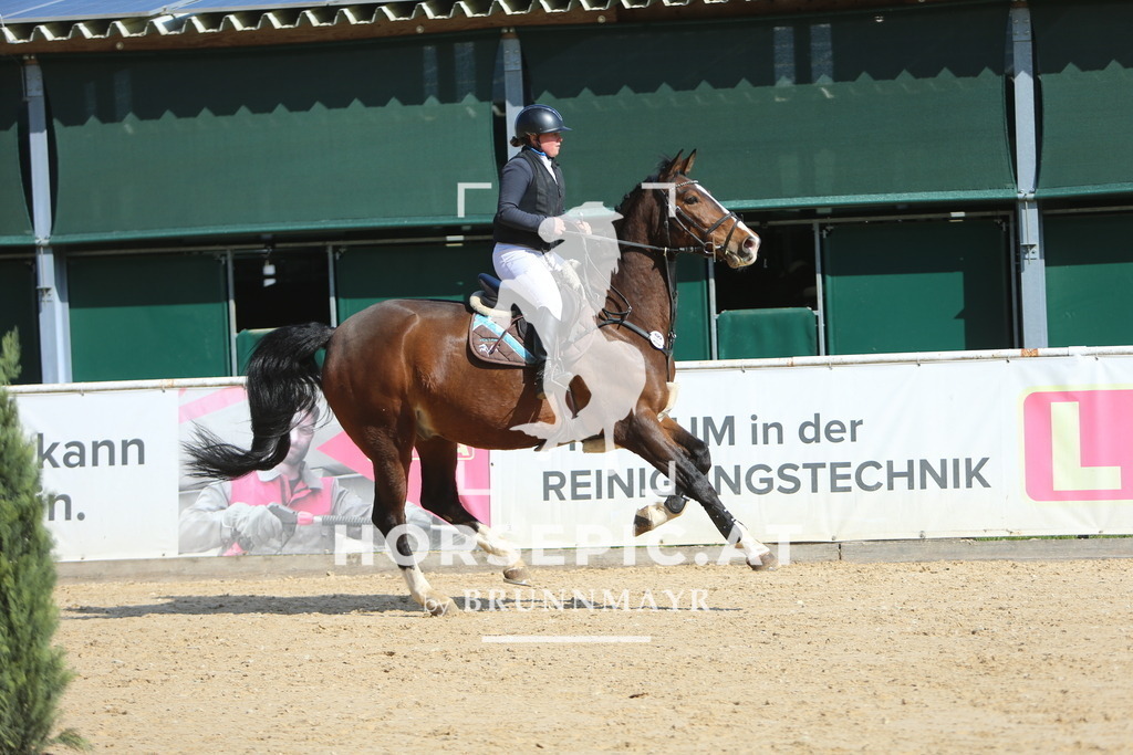 DL2Q8287 | Willkommen bei Brunnmayr - Design & Fotografie – Ihrem Spezialisten für Reitturniere und Pferdeveranstaltungen in Oberösterreich, Salzburg und Bayern! Seit über 17 Jahren sind wir leidenschaftlich dabei.