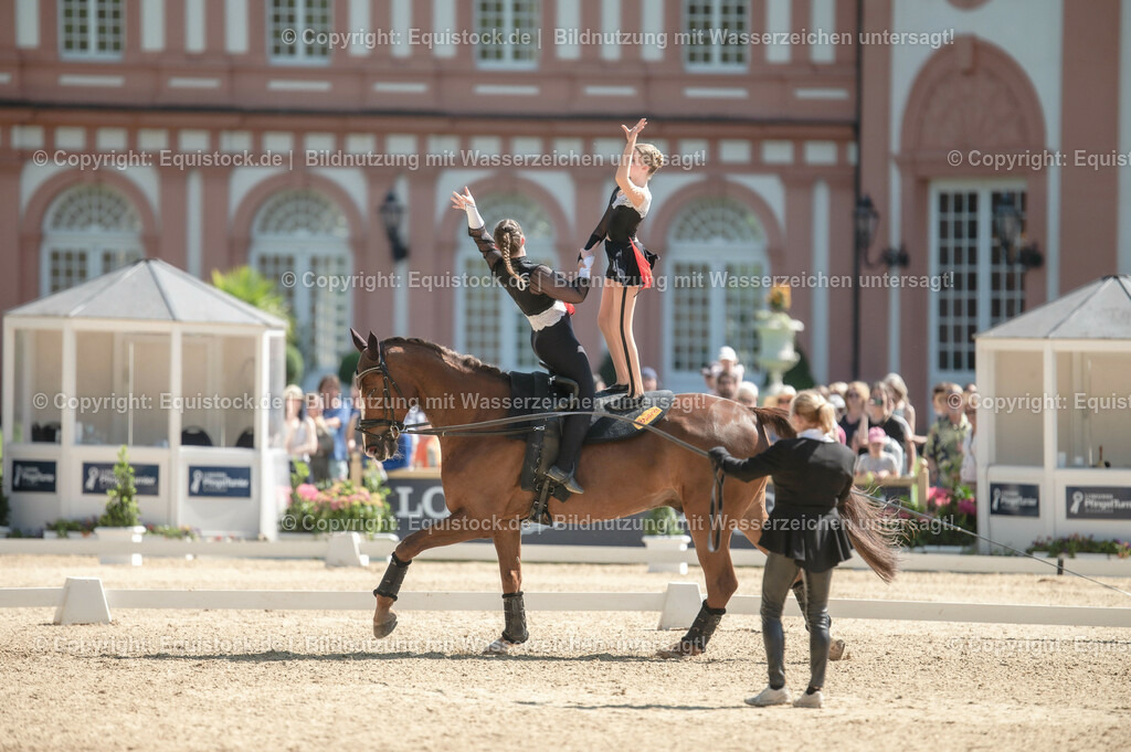 20230528_Voltigieren_NASPA_0551 | equistock