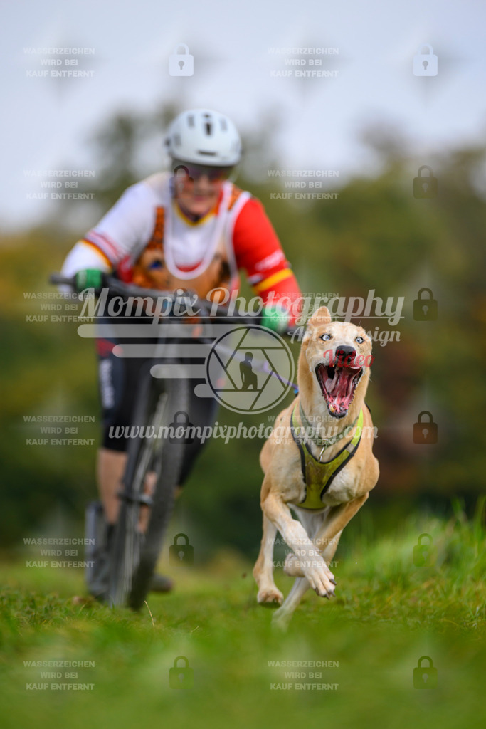 MompixPhotography_CDLBDB2025_DI_DS-79 | PayLife